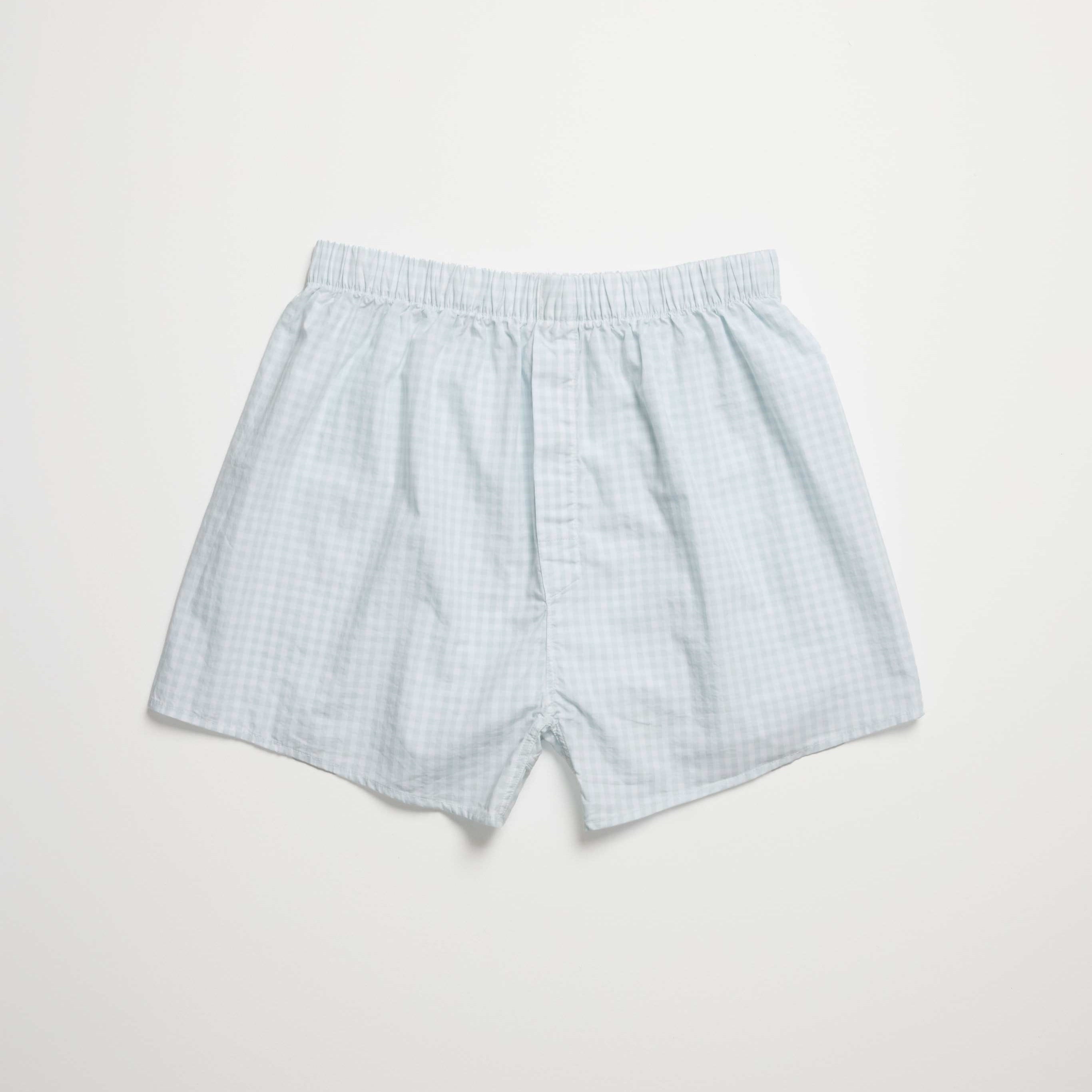 Men Pale Blue Gingham Check Boxer