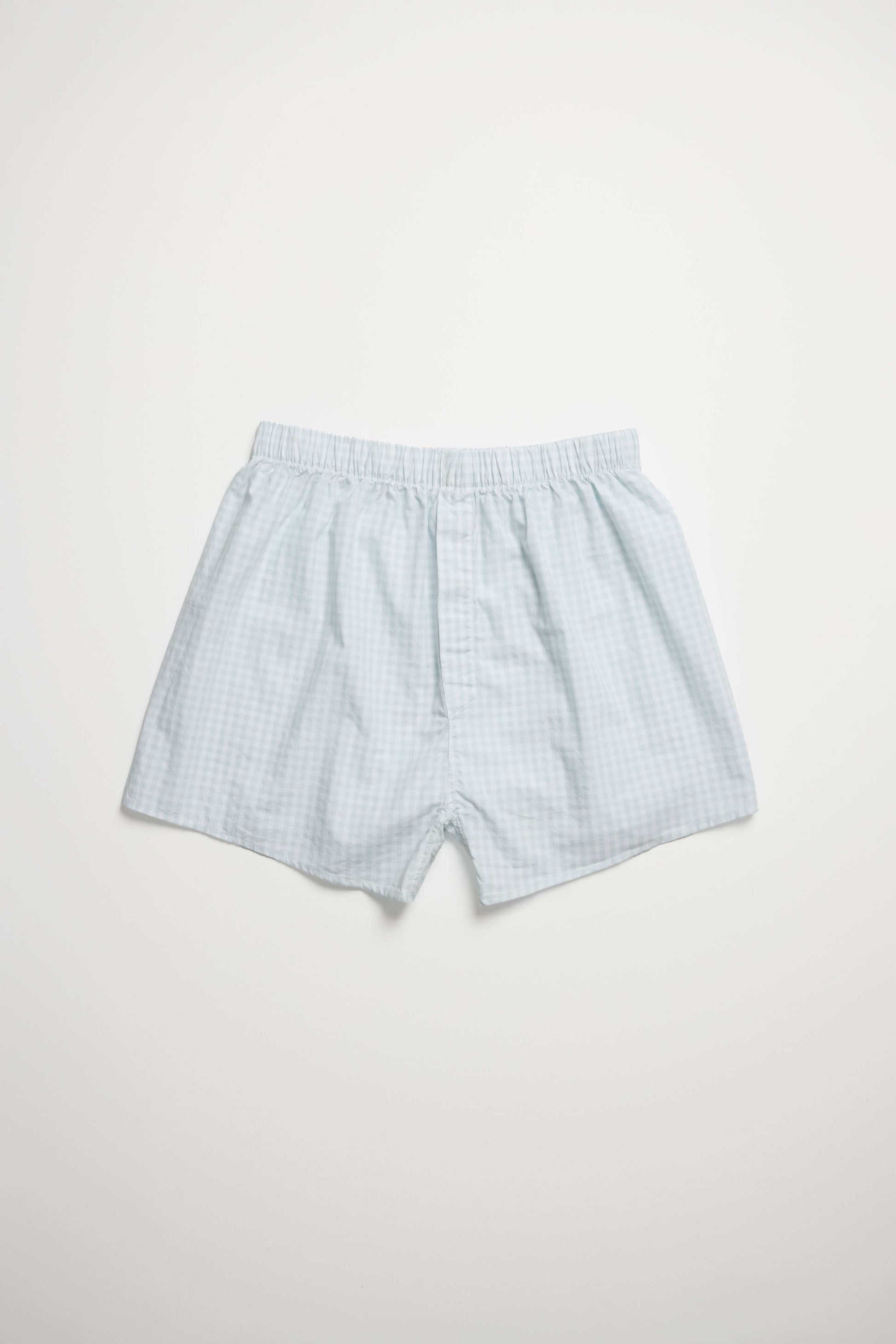 Men Pale Blue Gingham Check Boxer