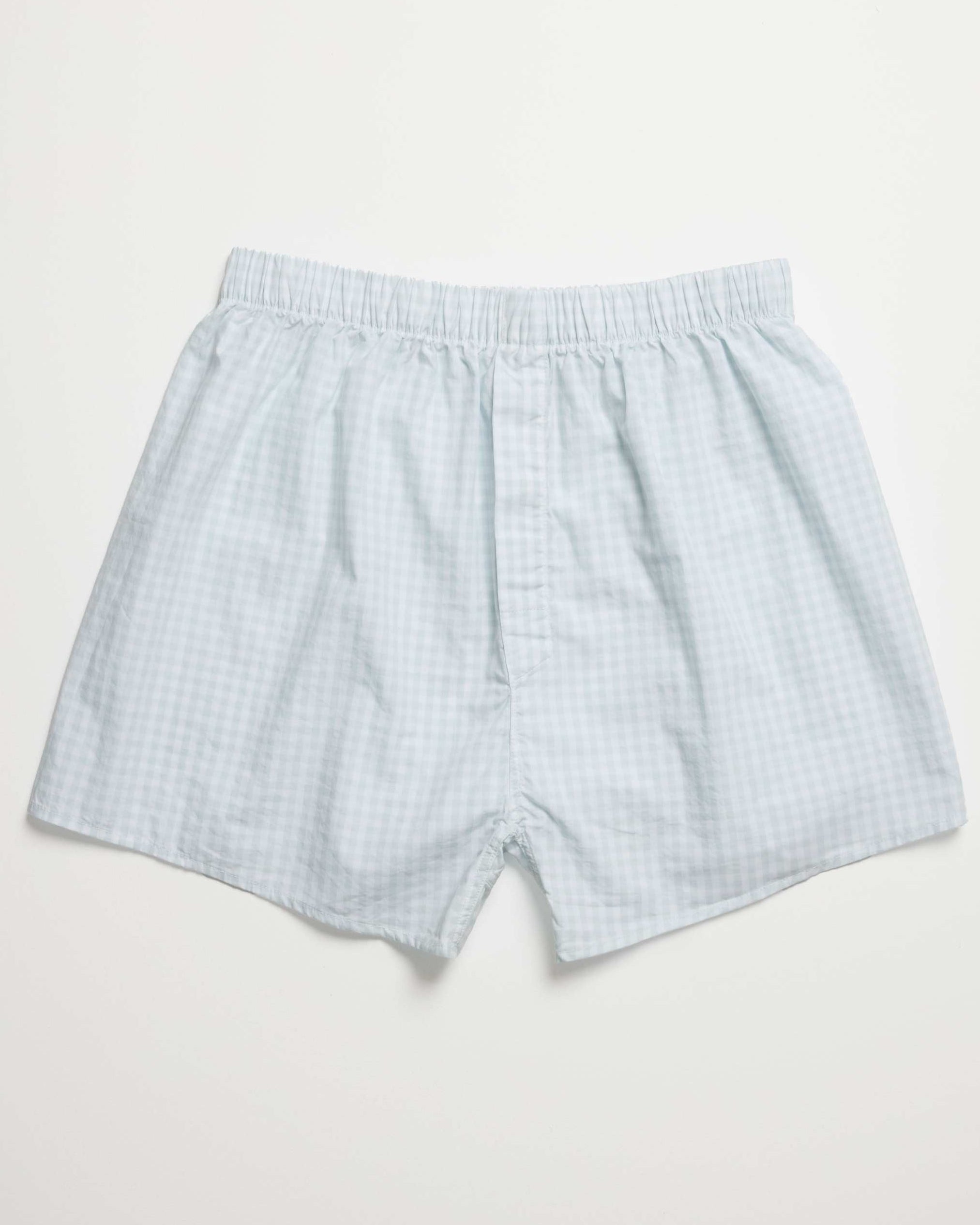 Men Pale Blue Gingham Check Boxer